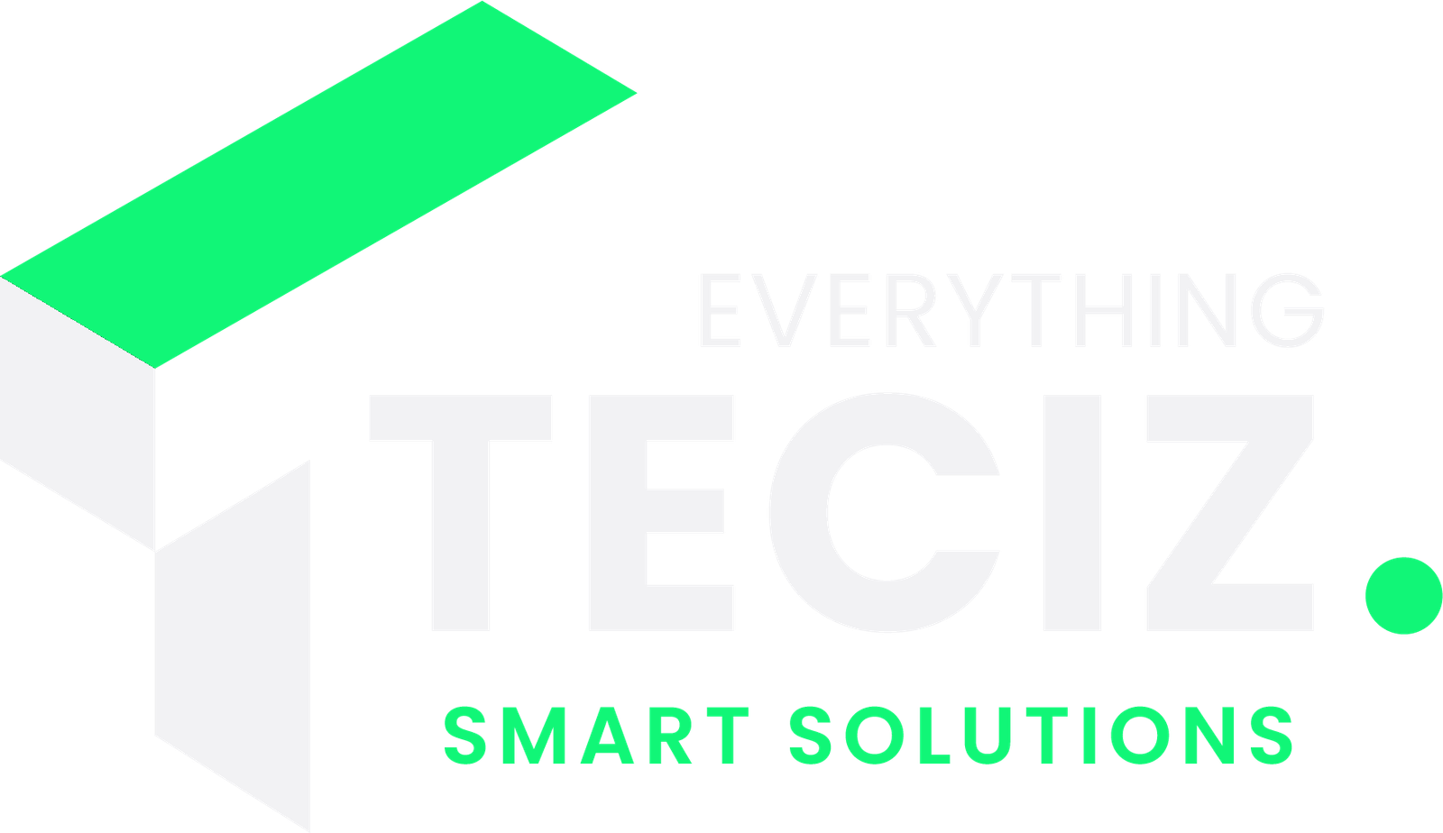 TecizEverything